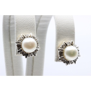 Kõrvarõngad pärli ja 16-teemantiga