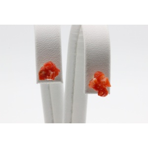 Kõrvarõngad kiviga