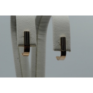 Kõrvarõngad kahe tooniga