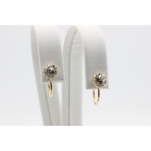 Kõrvarõngad kiviga